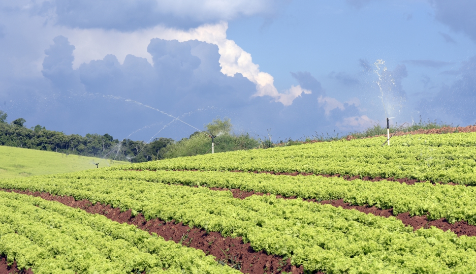 'O Agro de Ponta-a-ponta