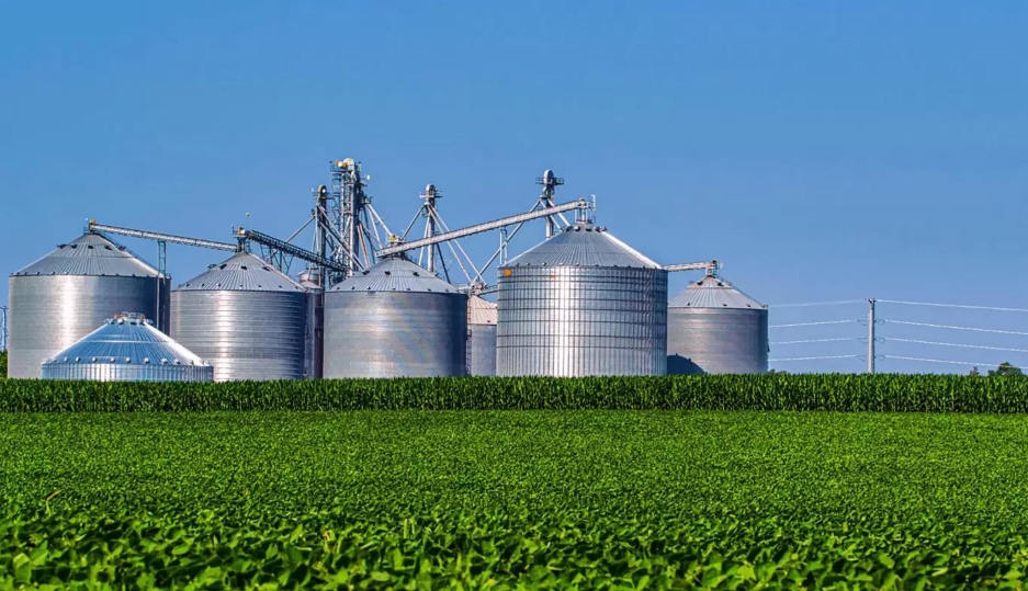 Boreto & Cardoso, transformando o agronegócio com excelência  química