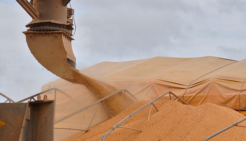 Faturamento do agronegócio deve aumentar em até 25% este ano, diz KPMG