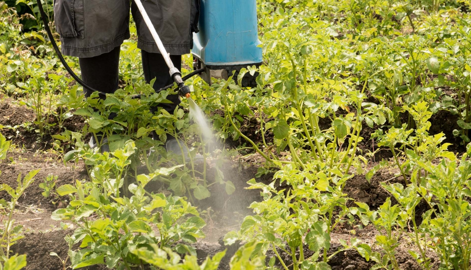 A importância de entender os perigos e riscos que os produtos químicos representam