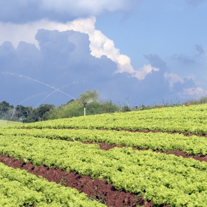 'O Agro de Ponta-a-ponta