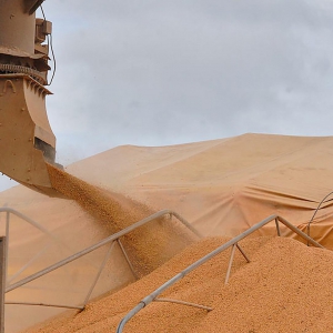 Faturamento do agronegócio deve aumentar em até 25% este ano, diz KPMG